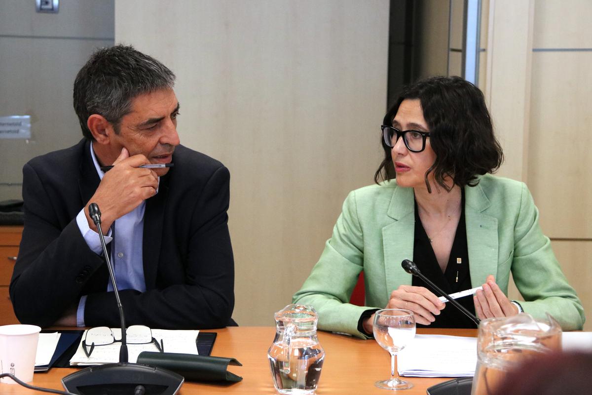 <p>Interior demana endurir les penes de presó per tinença d'armes i grans cultius de marihuana</p>