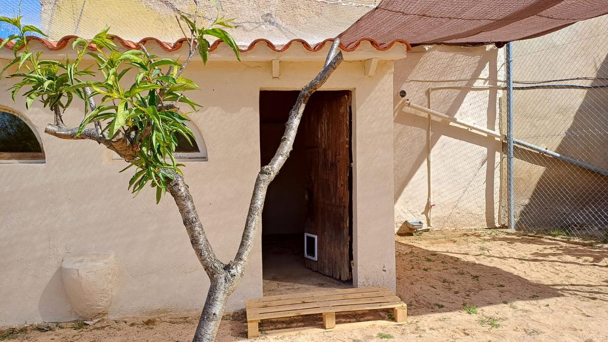 gatera municipal 6.jpg