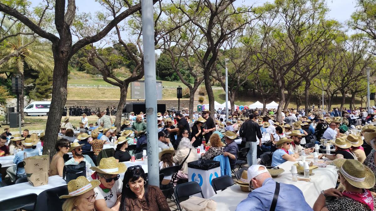 AMBIENT LAS MIGAS.jpeg
