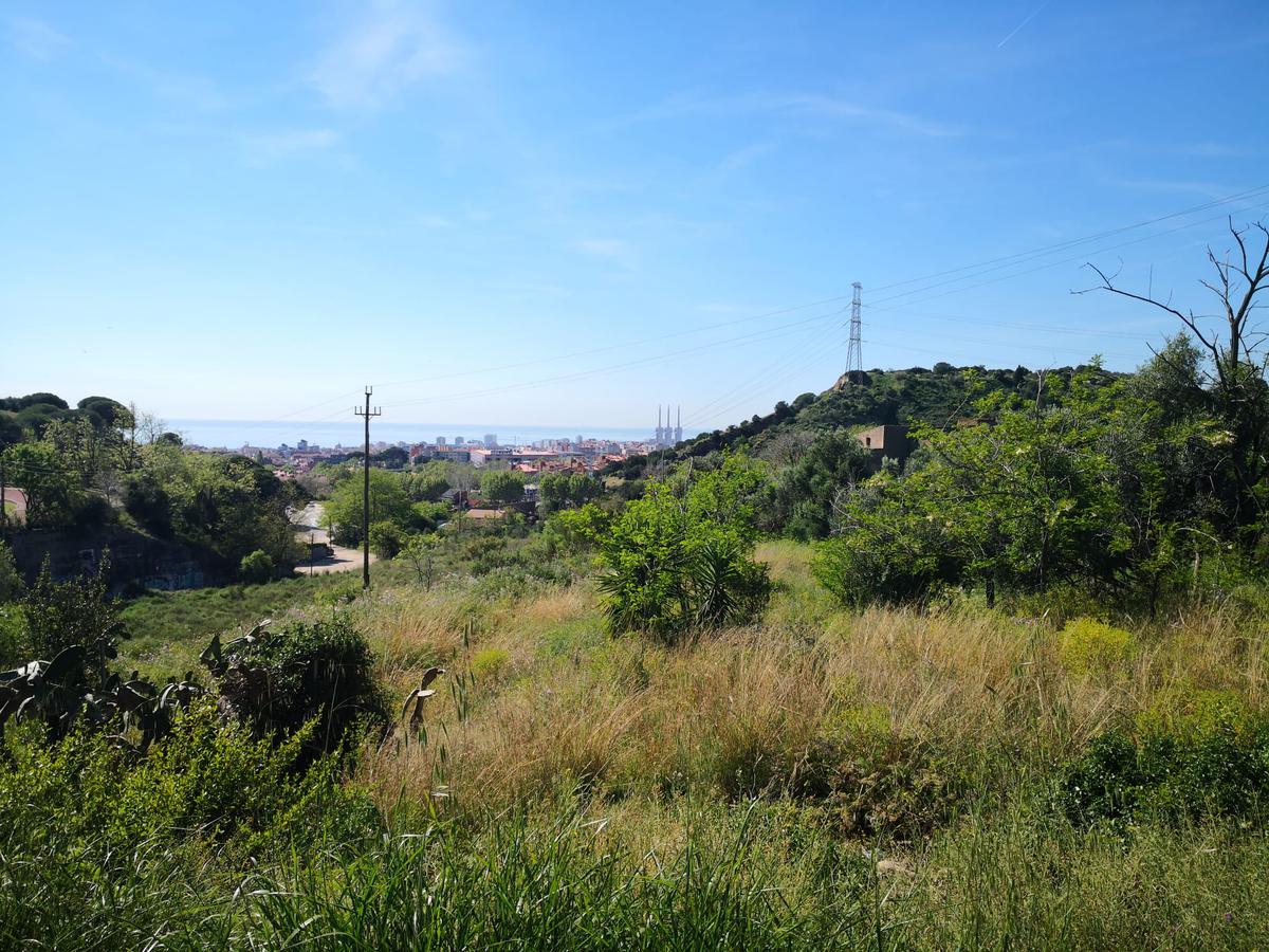 guanyem canyet 5.jpg