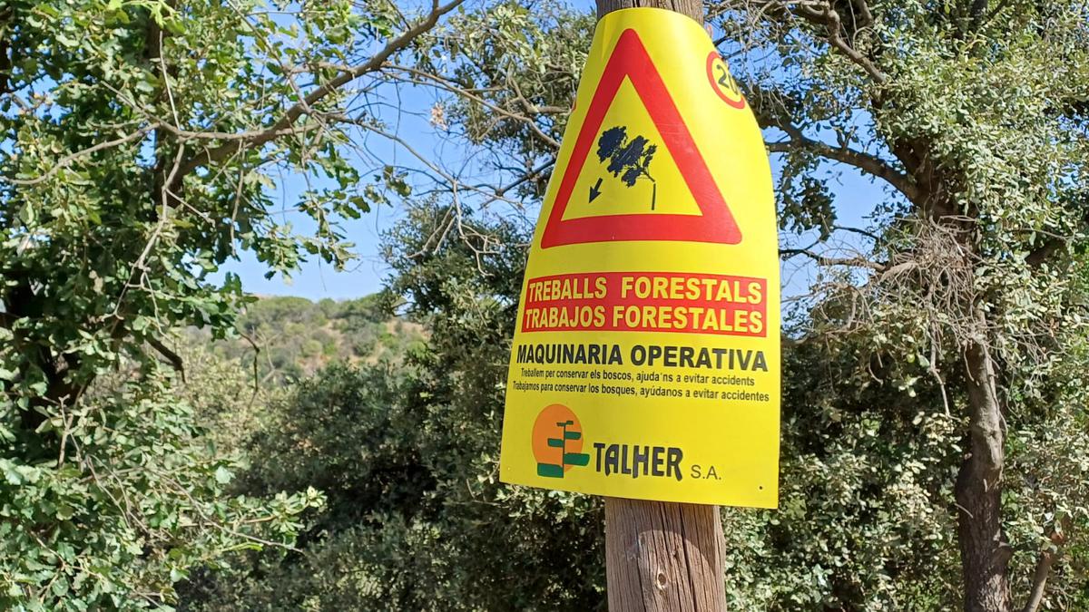 treballs forestals AMB 3.jpg