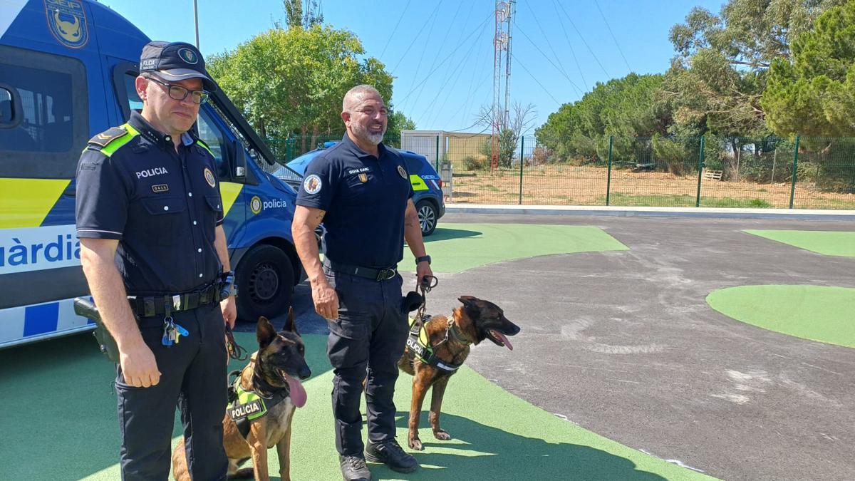 gossos policia 2.jpg