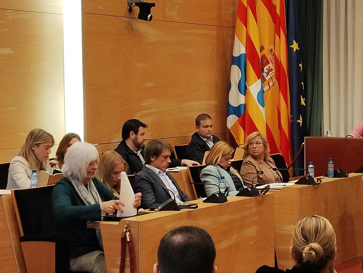 OPOSICIÓ PLE ORDENANCES.jpg