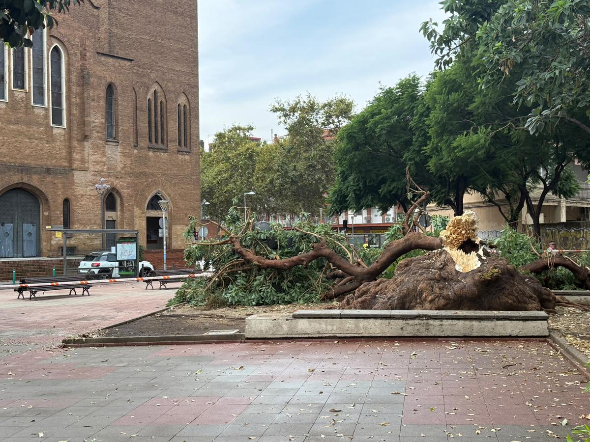 badalona-registra-record-historic-pluja-en-21-anys