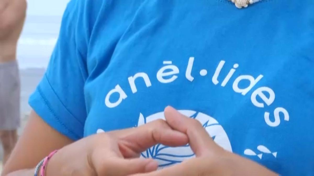 ANELIDES.jpg