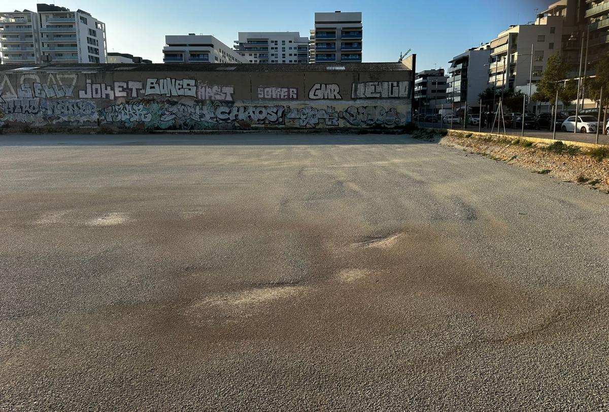 WhatsApp Image 2026-02-25 at 17.28.57.jpeg