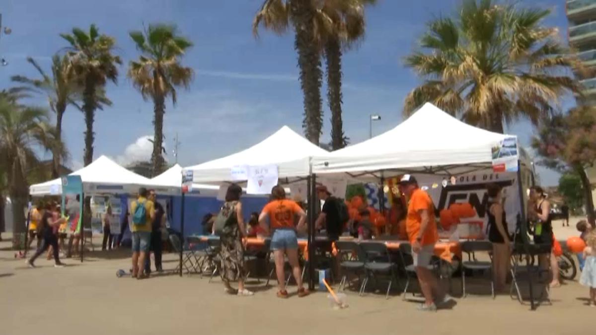 el-passeig-maritim-somple-de-ciencia-tallers-i-cultura-marinera-en-una-nova-edicio-de-la-festa-del-mar