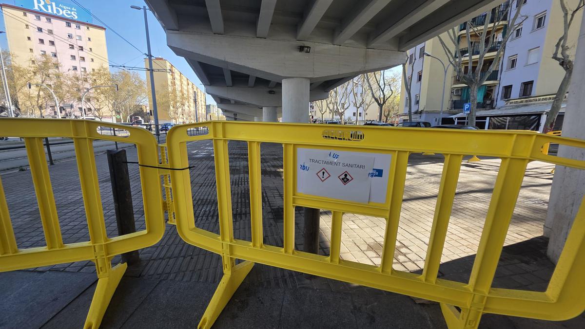 SOTA PONT C-31 DESMANTELLAT CAMPAMENT.jpeg