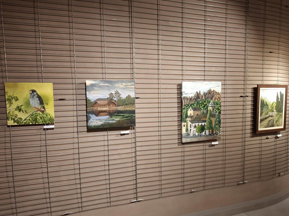 grup belles arts museu badalona 4.jpeg