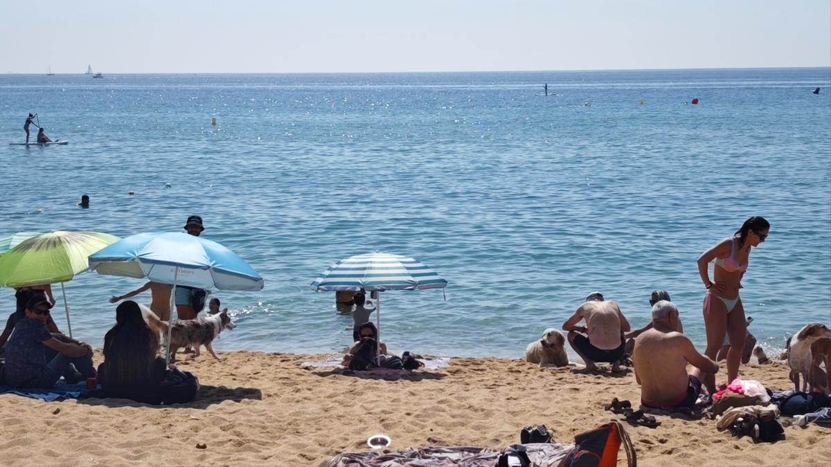 edit_16-9_a041f63d-3d05-4544-98af-16b6cdff5716_VO_platja02.jpg