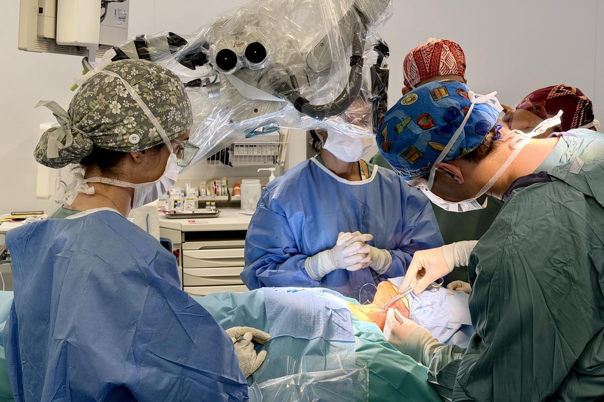 nova-via-terapeutica-per-combatre-els-simptomes-de-lalzheimer