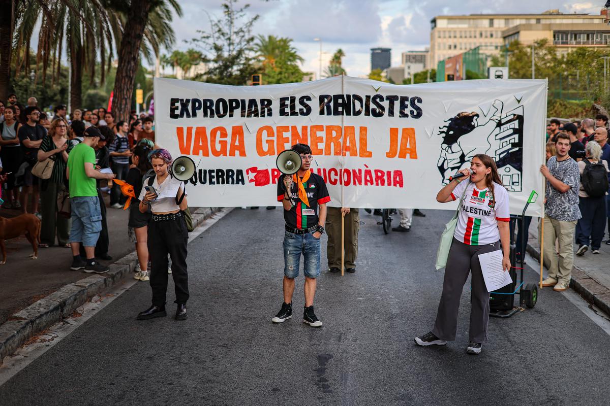 4cae5a97-53ee-44f6-909d-447abc4dd83a.jpeg