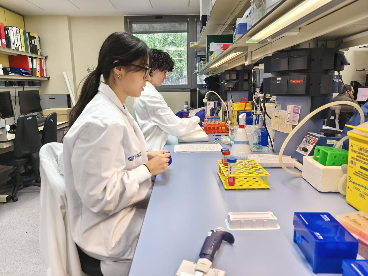 ligtp-identifica-una-possible-combinacio-de-farmacs-que-redueix-el-creixement-tumoral-de-la-neurofibromatosi