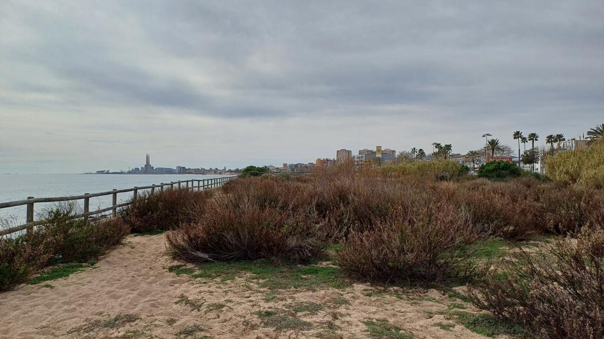 lalcalde-de-montgat-reclama-rehabilitar-lenllac-pel-litoral-amb-badalona-actualment-en-desus