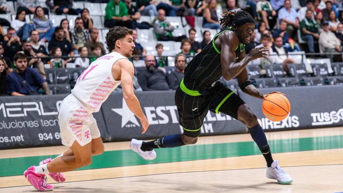 asisa-joventut-visita-fontajau-amb-plaga-baixes